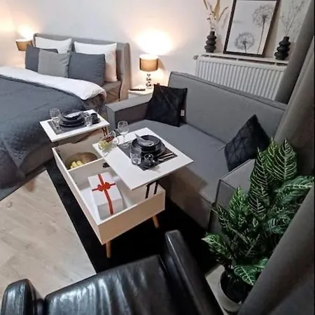 Executive Altstadt King Bed Apartment Wißmar